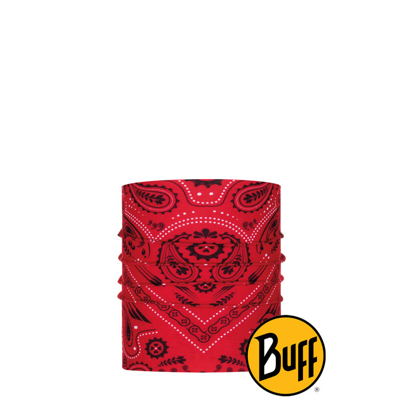 Dog New Cashmere Red