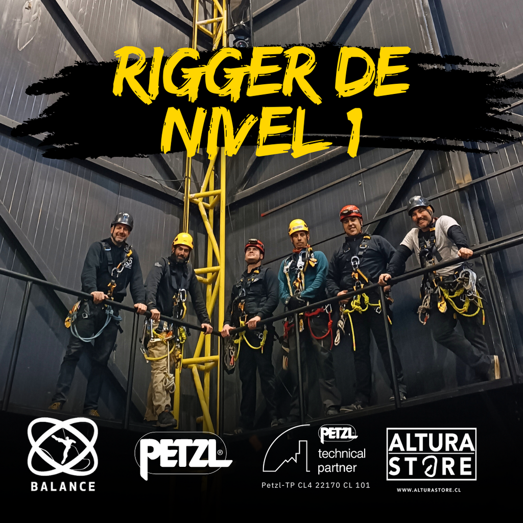 Curso de Riger de Nivel 1 - Versión Agosto