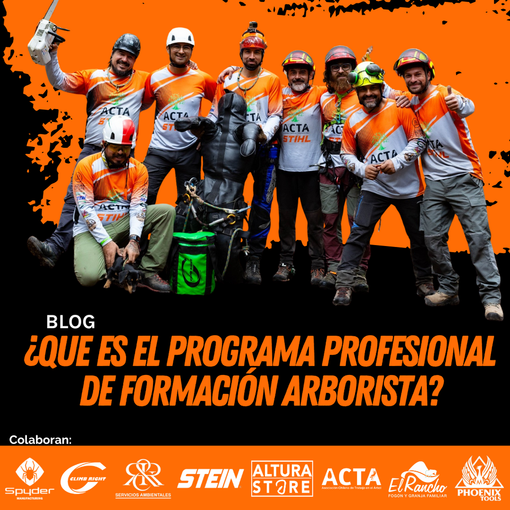 Programa de Formación Profesional en Arboricultura – Chile 2025